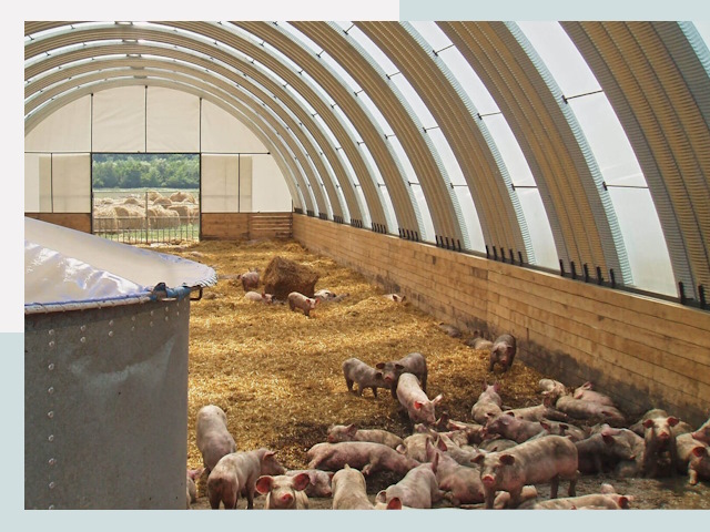 Строительство свинарников в Ахтубинске